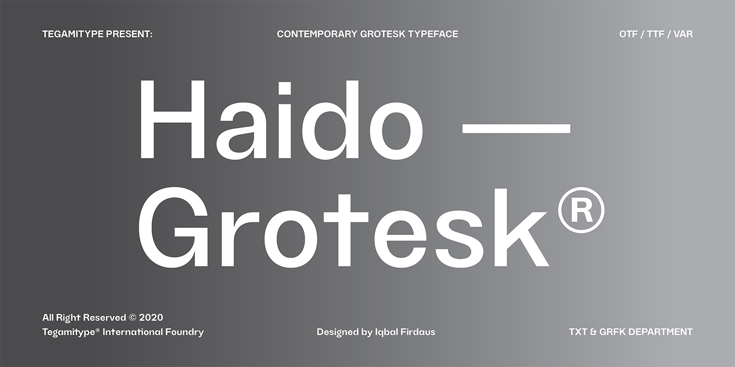 Beispiel einer TG Haido Grotesk Light Italic-Schriftart